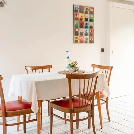 Steinhoff Ferienhaus Marsberg