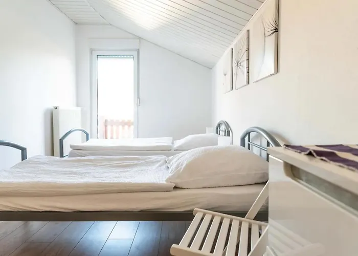 Steinhoff مرسبورغ